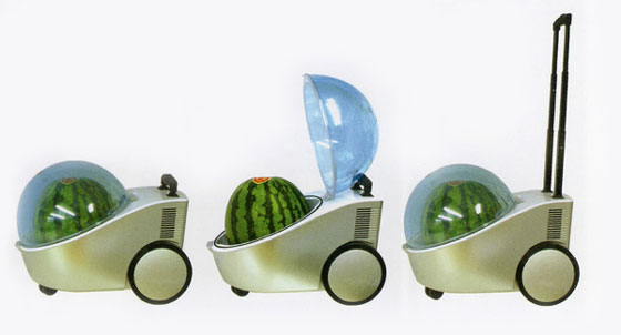 Japanese portable watermelon cooler